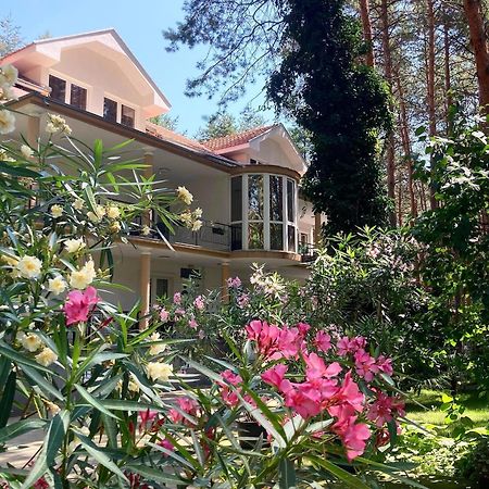 Vila Dunavski Raj Hotel Golubac Exterior photo