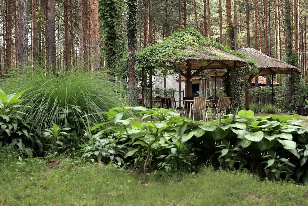 Vila Dunavski Raj Hotel Golubac Exterior photo